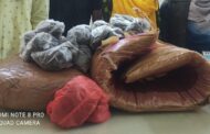 ৭ কেজি গাঁজাসহ তিনজনকে গ্রেফতার করেছে গোয়েন্দা মতিঝিল বিভাগ